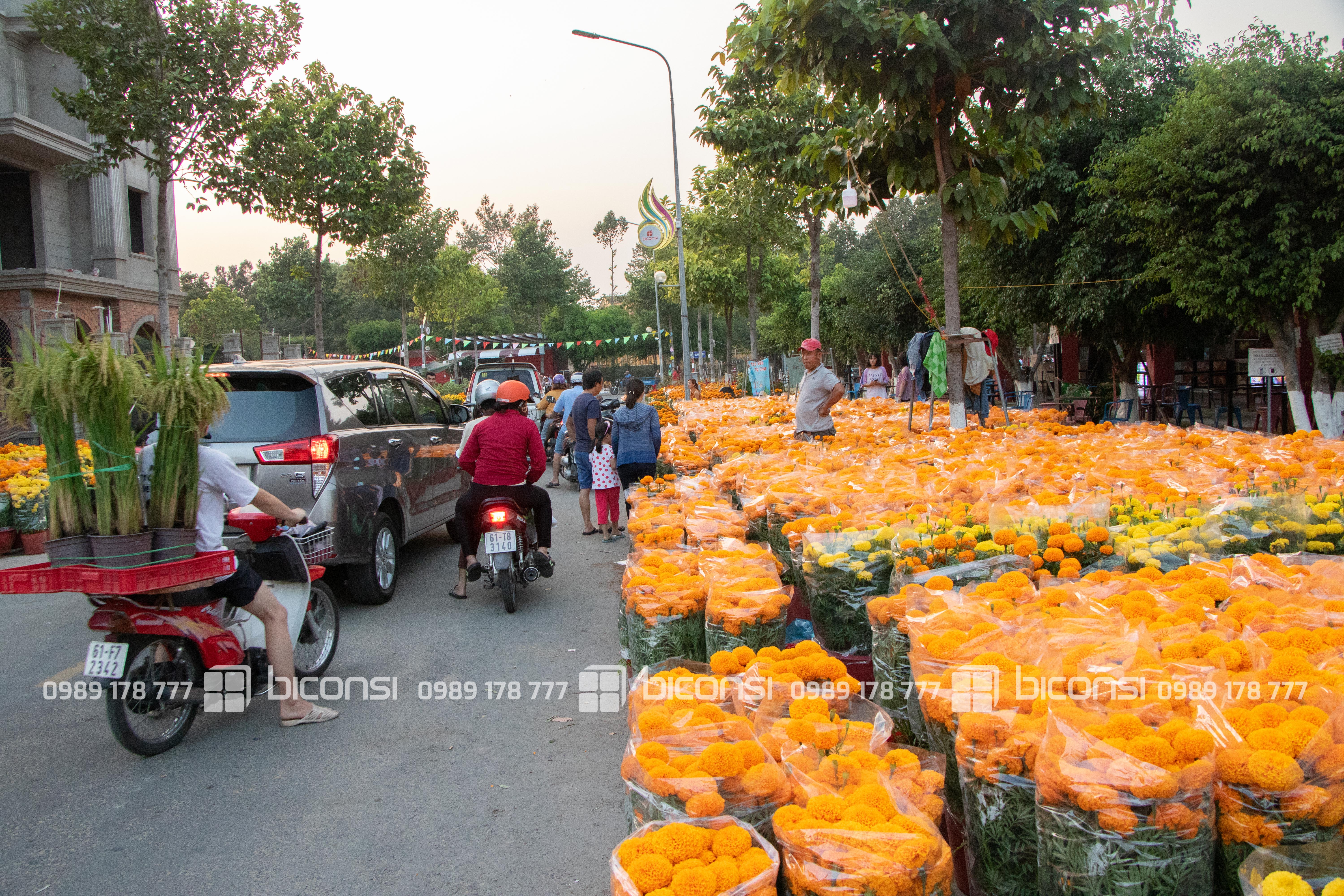 Rộn ràng chợ Hoa Xuân Bạch Đằng 2020